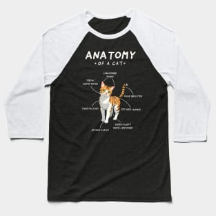 Cat Anatomy - funny, cute, cat gift idea Baseball T-Shirt